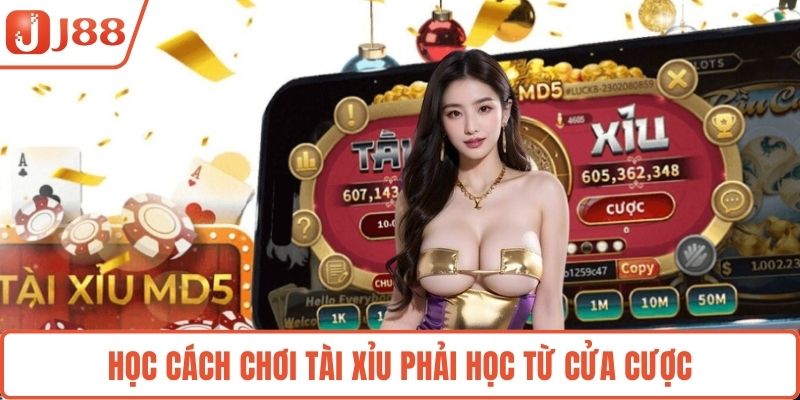 Học cách chơi Tài xỉu phải học từ cửa cược