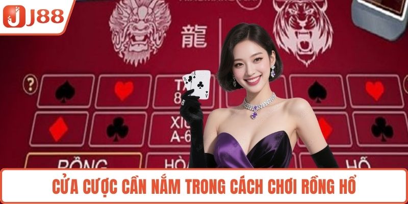 Cửa cược cần nắm trong cách chơi rồng hổ