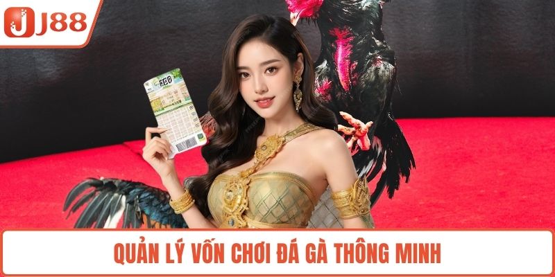 Quản lý vốn chơi đá gà thông minh